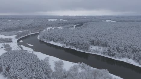 snow covered coniferous forest and the winding river neris during snowy winter-1