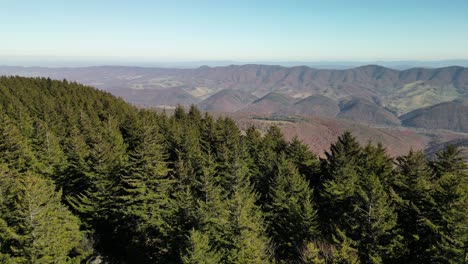 spruce knob wilderness drone forest