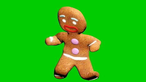 the gingerbread man is dancing a christmas dance. the concept of the celebration. looped animation in front of green screen.