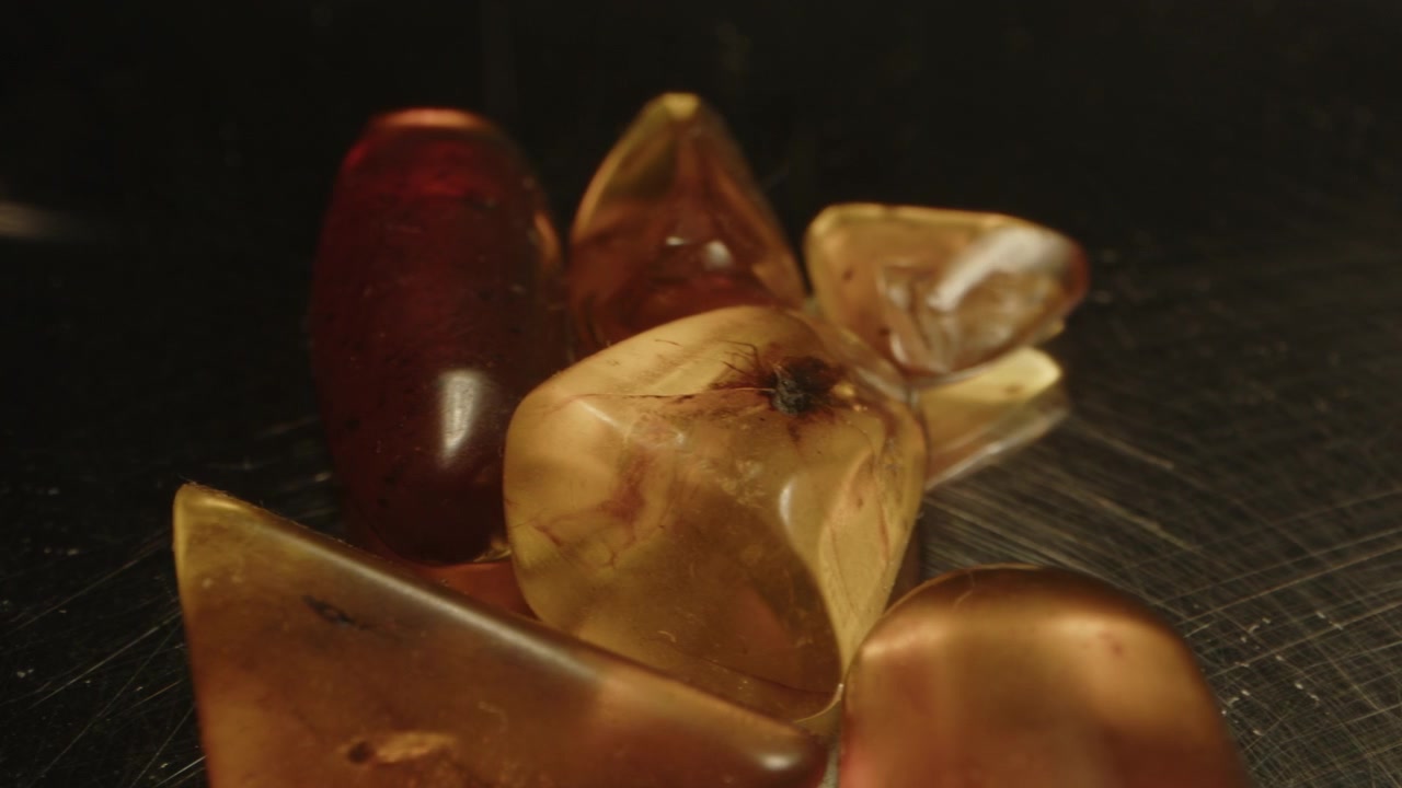 Schöne Makro-Dolly-Aufnahme von glänzendem Burmit-Bernstein mit prähistorischen Insekten, die in den orangefarbenen Edelsteinen eingeschlossen sind.