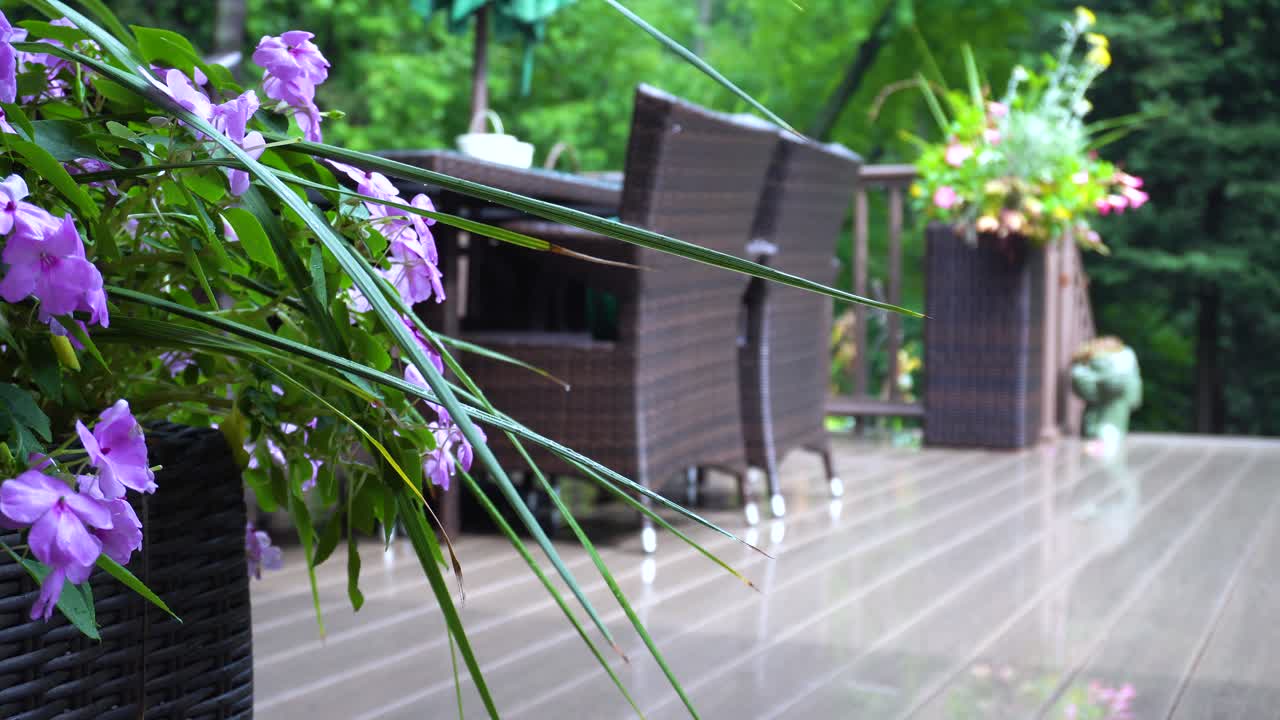 Morning depiction of a suburban backyard, featuring a deck and planters
