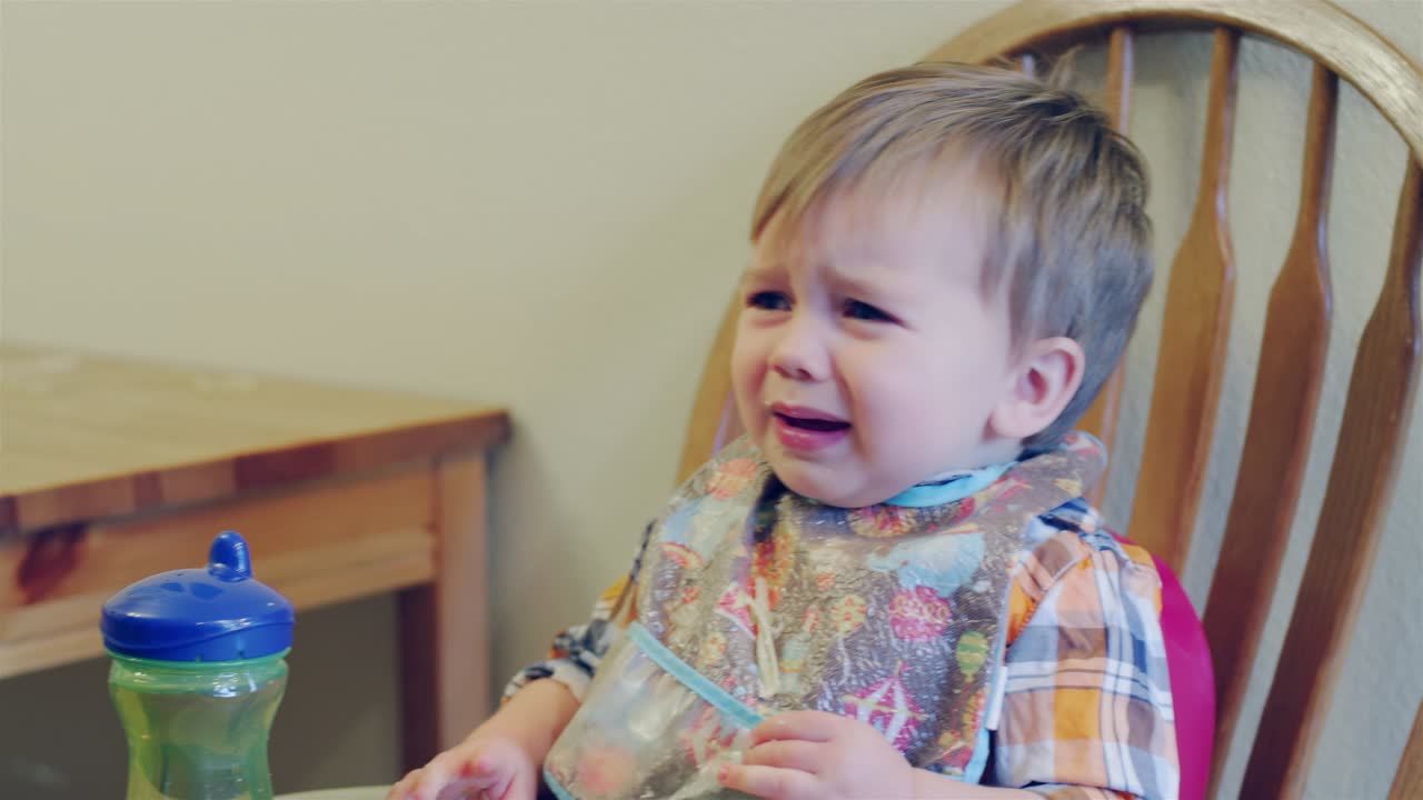 귀여운 아기 소년은 높은 의자에 앉아, 개는 그의 음식을 먹고 소년은 울기 시작합니다.