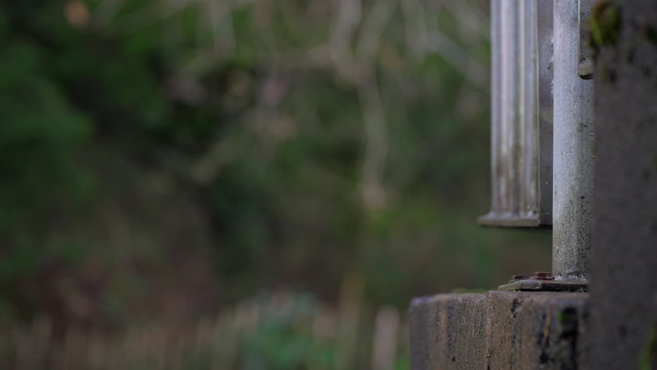 Empty Dorm Room Student, Hostel, Asylum seeker's Accommodation