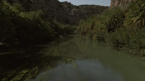 aerial view of a tranquil river surrounded by dense palm trees flowing through the preveli gorge with rugged cliffs rising in the background on the island of crete, greece