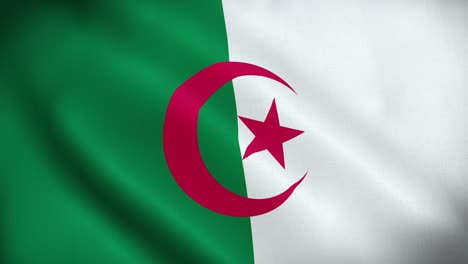 national animated sign of algeria, animated algerian flag, algeria flag waving, algerian flag waving in the wind.