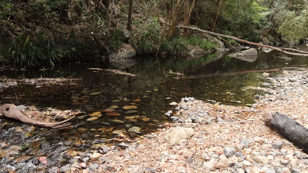 평화로운 하천은 다양한 조건을 통해 전환합니다.