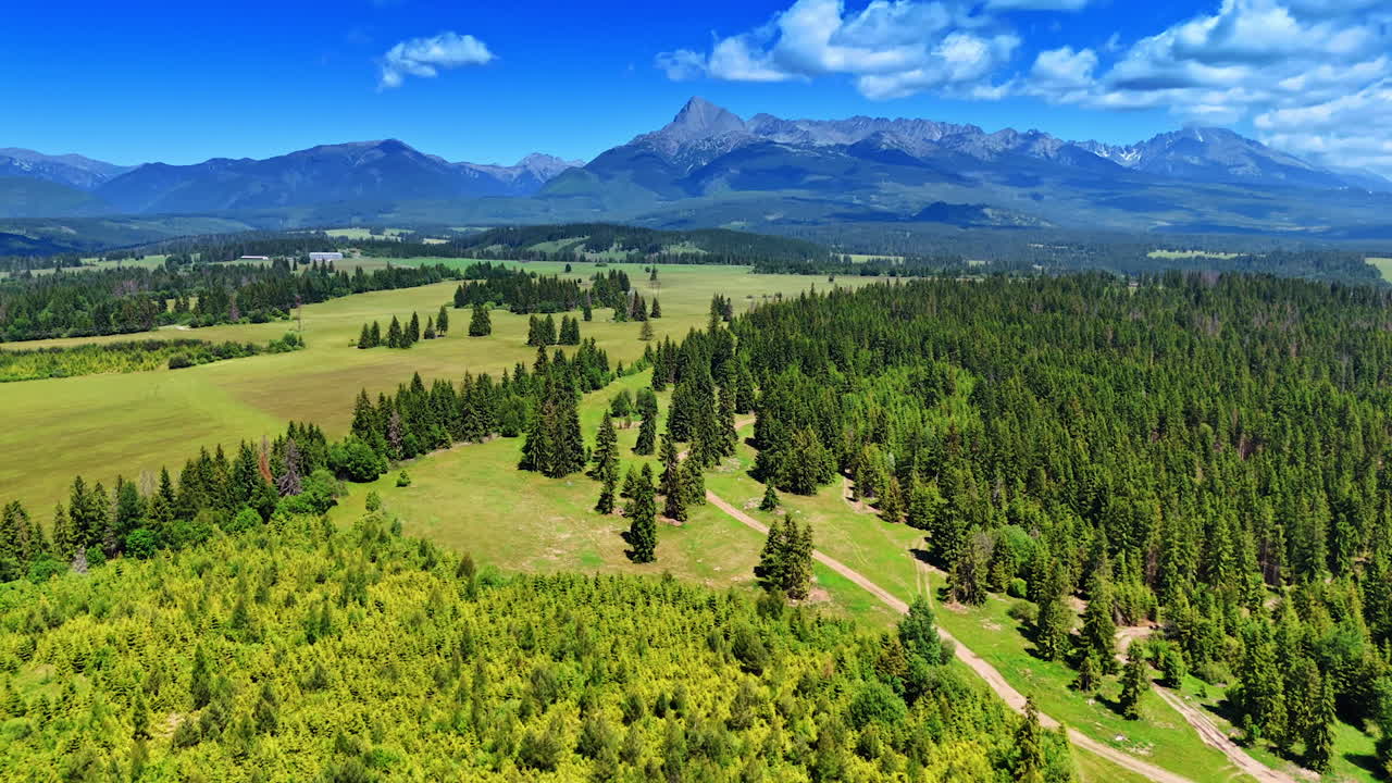 Wild nature of Slovakia on sunny summer day. Drone flight above the valley with the view on the Tatra Mountains.