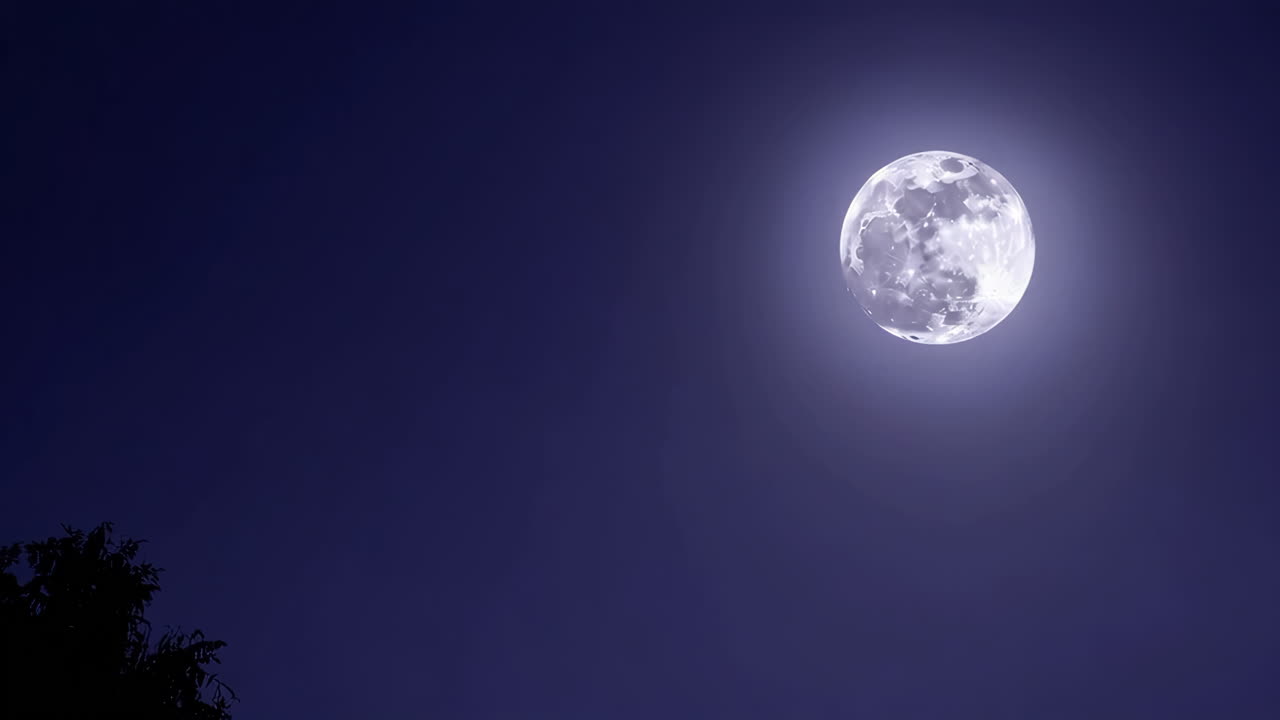 полнолуние в ночь