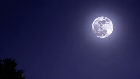 luna llena en la noche
