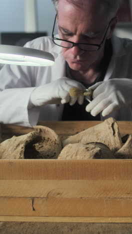 archaeologist cleaning ancient pottery fragments