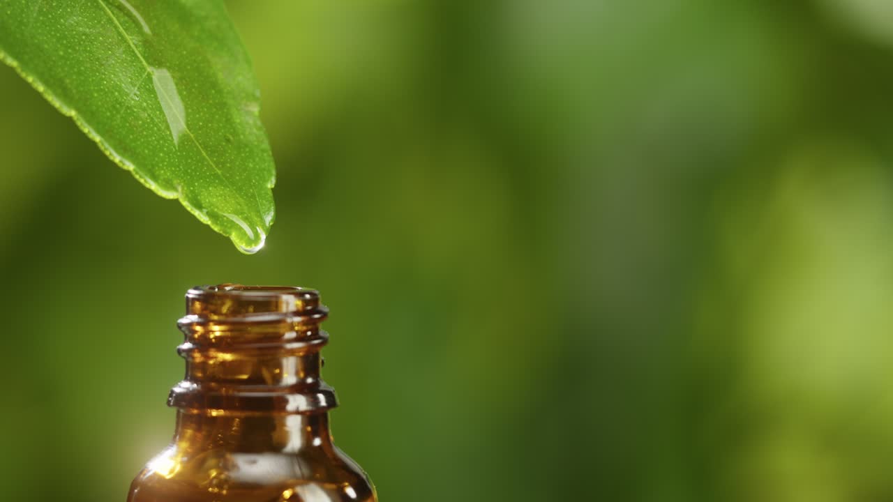 jugo goteando de la hoja en la botella de primer plano, aceite vegetal. haciendo suero de aroma en fondo verde. dejando caer extracto líquido, rutina de cuidado de la piel, aceite esencial de tratamiento, concepto de spa. medicina tradicional