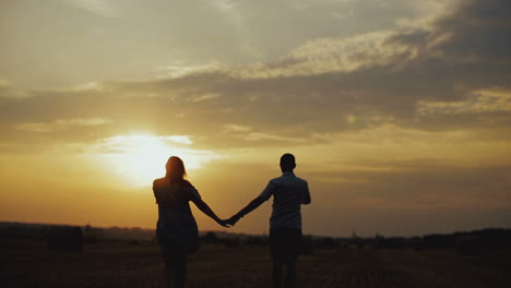 couple against beautiful sunset. happy couple walking on the field at the sunset