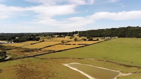 Aerial-view-above-scenic-Welsh-dry-golden-Penmon-drought-farmland-heatwave-affected-countryside