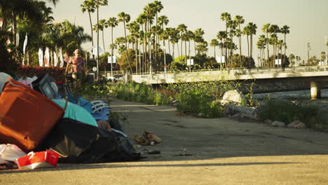 Paseos-En-Patineta-A-Través-De-Un-Montón-De-Basura-En-Una-Ubicación-Tropical-De-Los-ángeles,-Vista-Estática