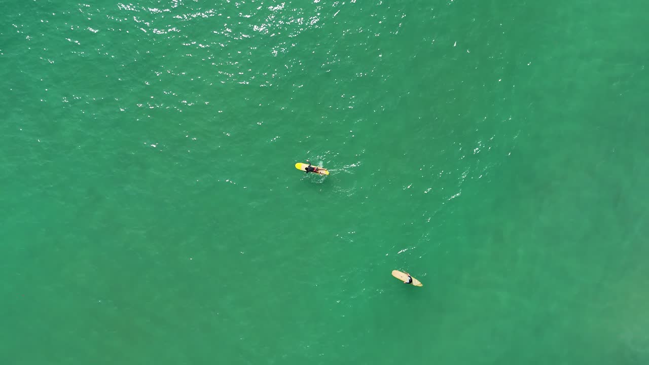 Aerial view of surfers in the ocean