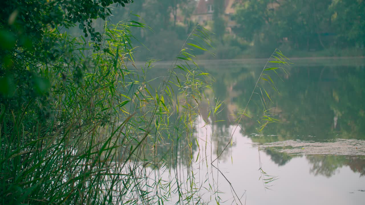 호수에 자연이 반영된 신선하고 깨끗한 물 표면의 목가적인 전망