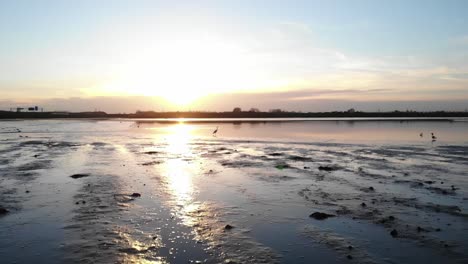 cámara lenta: vista aérea de un estanque o lago al atardecer