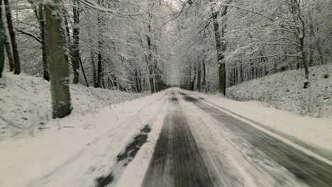 snowy road through frosty spruce forest during winter near countryside village of pieszkowo, poland