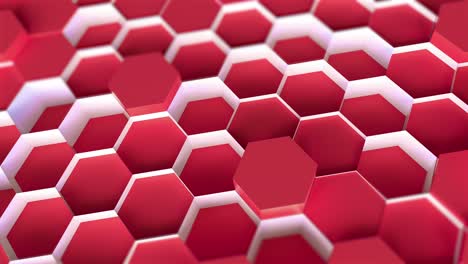 bright color technology hexagon pattern background