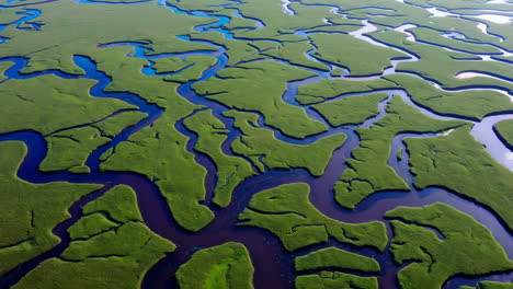 aerial view of a winding salt marsh estuary