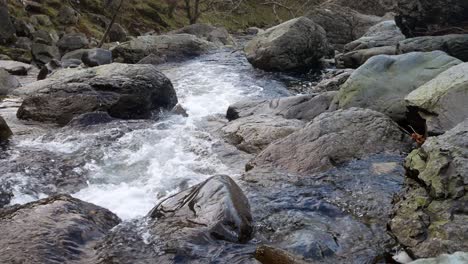 rocky waterfall river creek flowing over boulders in seasonal autumn woodland dolly right