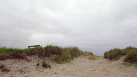 tranquil deserted beach scene