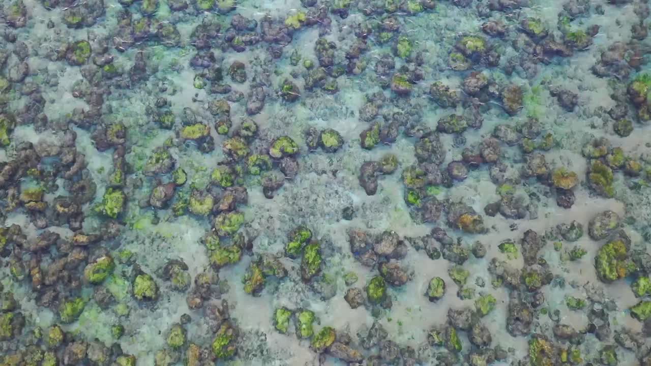 만달리카, 롬복, 인도네시아 쿠타 해변의 푸른 물