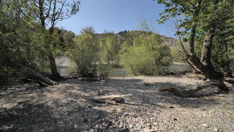 descubriendo un río en un bosque al sur de francia entre los árboles caminar un día soleado