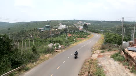 motorcycle on a country road through a coffee plantation
