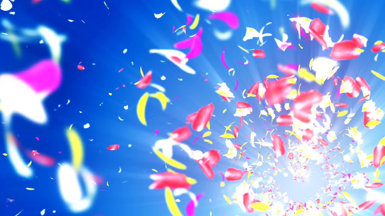 화려한 잎자루, 나선형 반이는 꽃잎, 꽃 모양, 예쁜 춤추는 꽃잎, 회전하는 꽃잎에서 소용돌이, 추상적인 루프 애니메이션.