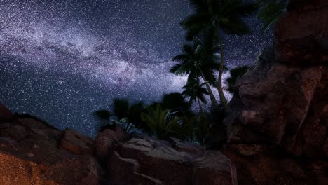 4K-hyperlapse-star-trails-over-sandstone-canyon-walls-and-palms