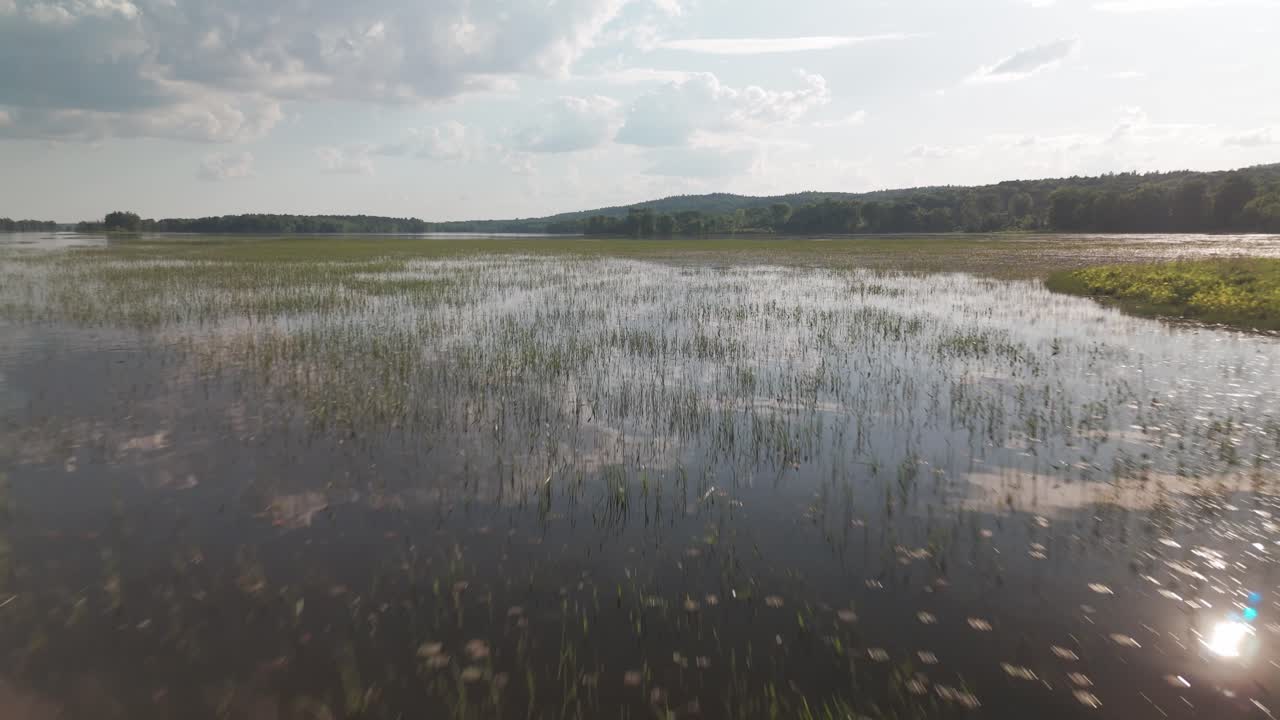 A drone shot over and close to a lake reflecting nature in the mirroring water. During summertime.