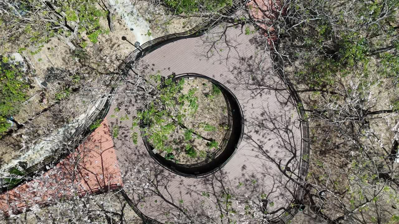 Renovated public park layout with geometric design, San Miguel, El Salvador, Urban development