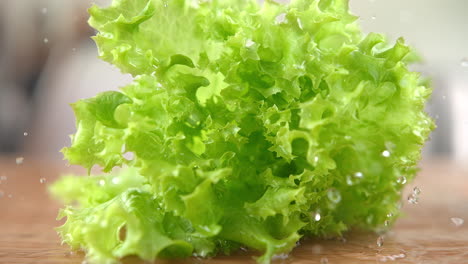 lockiger salat, der auf das nassen holzschneidbrett fällt, springt und spritzt, wassertropfen in makro- und slowmotion