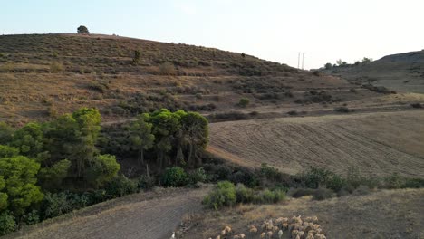 Pastor-Con-Rebaño-De-Ovejas-En-Pastos-En-El-Atlas-Argelino,-Con-Montañas-Y-Bosques