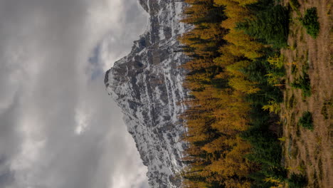 nubes oscuras de lapso de tiempo vertical de 4k que se mueven sobre el bosque en el valle de alerce y picos nevados del parque nacional de banff, paso centinela, canadá