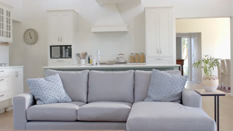 gray sofa, kitchen island with sink and furnitures in sunny home