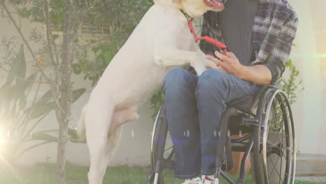 spot of light against caucasian handicapped man on wheelchair playing with his dog