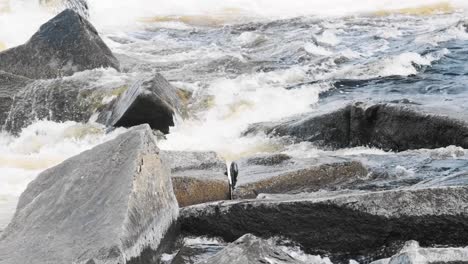 powerful river rapids flow over large rocks