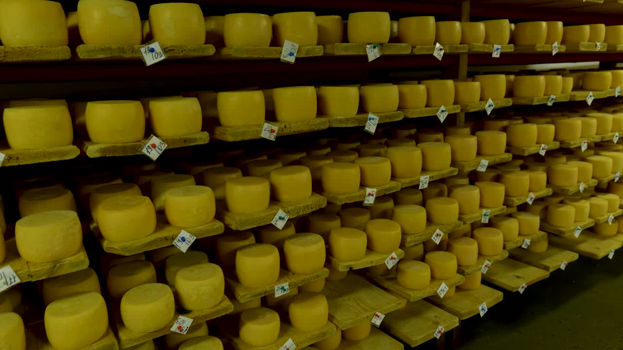 치즈 공장 지하실의 선반에서 숙성하는 파르메잔 치즈 의 모습