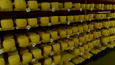 vista de las ruedas de queso de parmesán madurando en los estantes de la bodega de la fábrica de queso