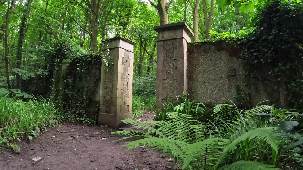 Remains of stone stately home gate columns surrounded by woodland forest lush fern foliage