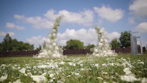 White-rose-petals-for-wedding-ceremony-lie-on-a-green-grass-lawn-in-the-open-countryside,-in-nature,-summer,-warm-weather,-the-final-preparations-before-the-holiday