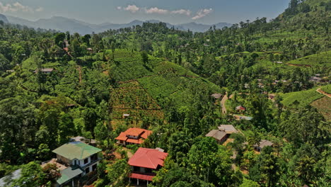 pussellawa sri lanka aerial v3 low drone flyover rothschild tea estate surrounded by lush green hills and tea plantations capturing beautiful hilly landscape - shot with mavic 3 cine - april 2023