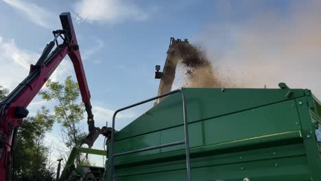 alimentación de madera a través de la máquina de trituración en el contenedor de abajo