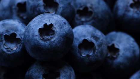macro shot of fresh juicy blueberries. fruit concept.