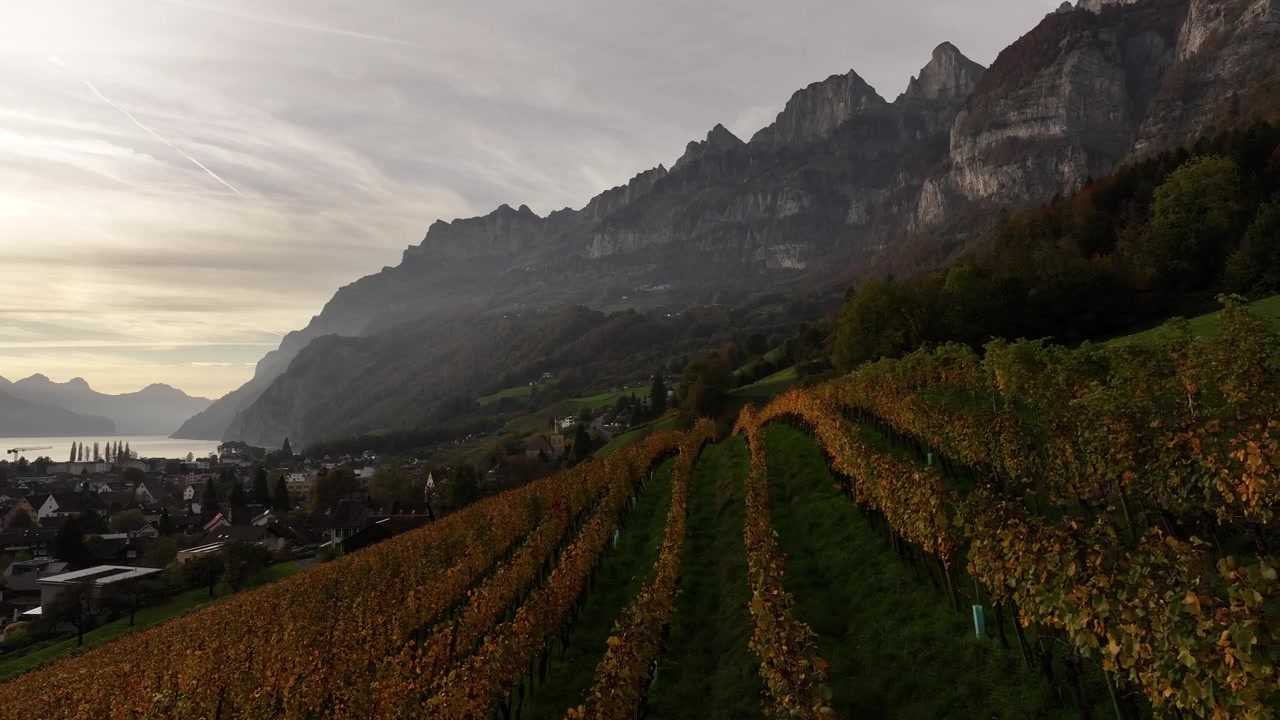 Splendido vigneto sulle Alpi svizzere al tramonto mozzafiato