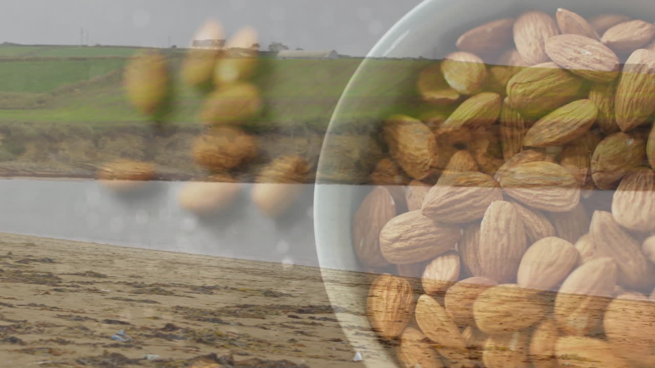 Coastal landscape with grassy fields and water, bowl of almonds overlay animation