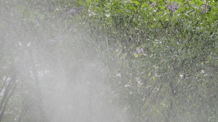 Watering of grass