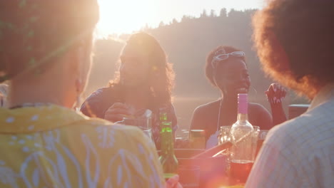 young people chatting at dinner party by lake